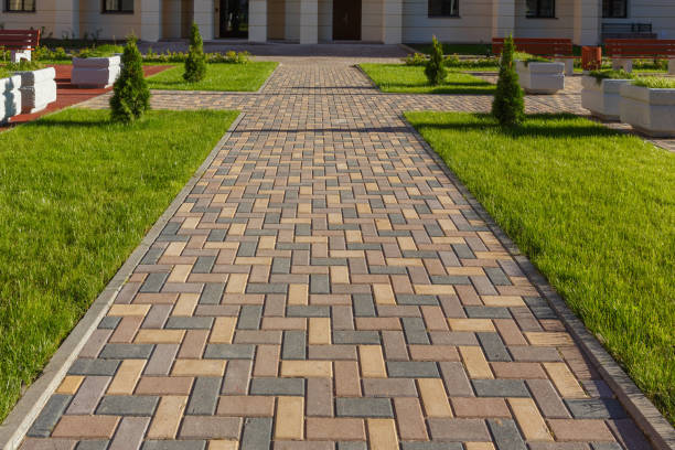 Reasons to Select Us for Your Driveway Paving Requirements in Carpentersville, IL